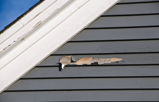 Best Demolition Debris Removal  in Atlantic Beach, FL